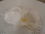 Artists, bouncy slides and gumpaste flowers....